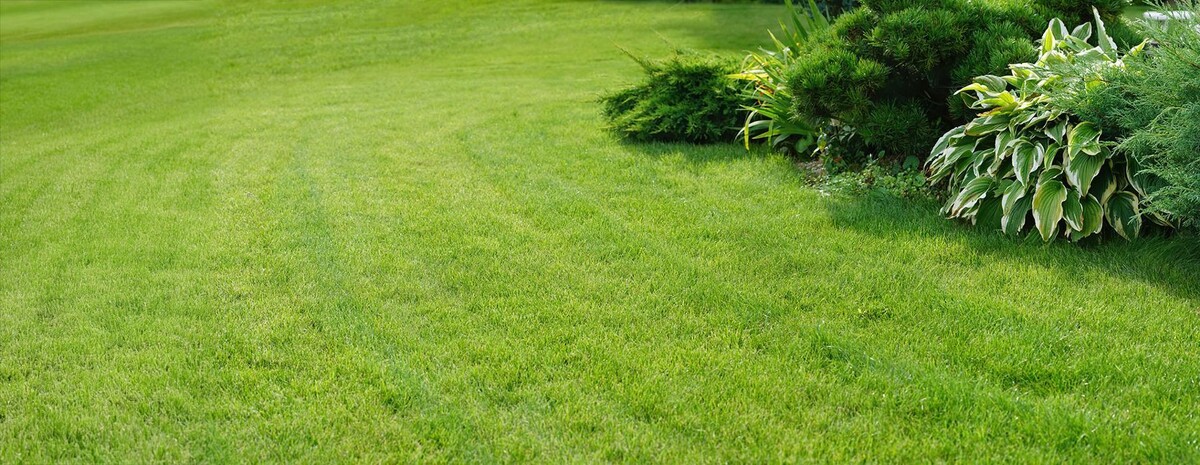 Bilder Haus- und Gartenservice Schauberger