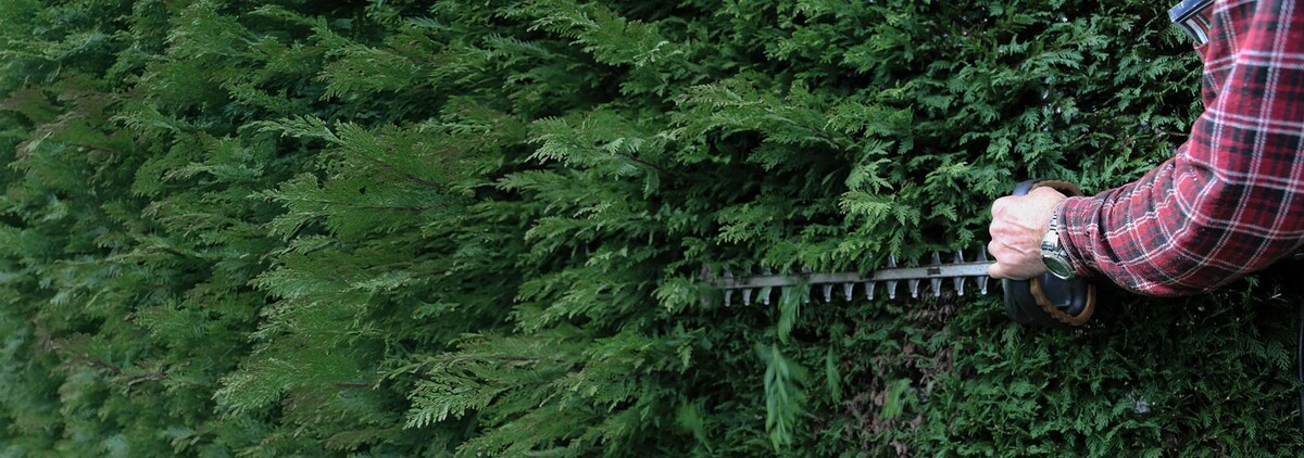 Bilder Haus- und Gartenservice Schauberger