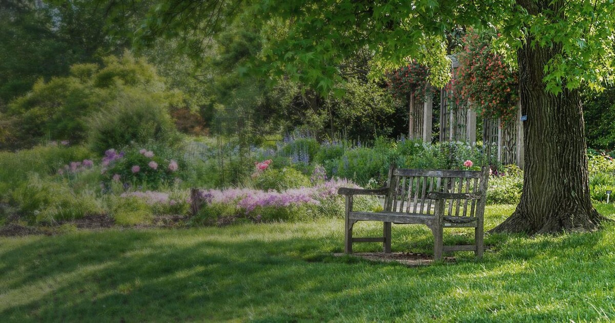 Bilder Haus- und Gartenservice Schauberger