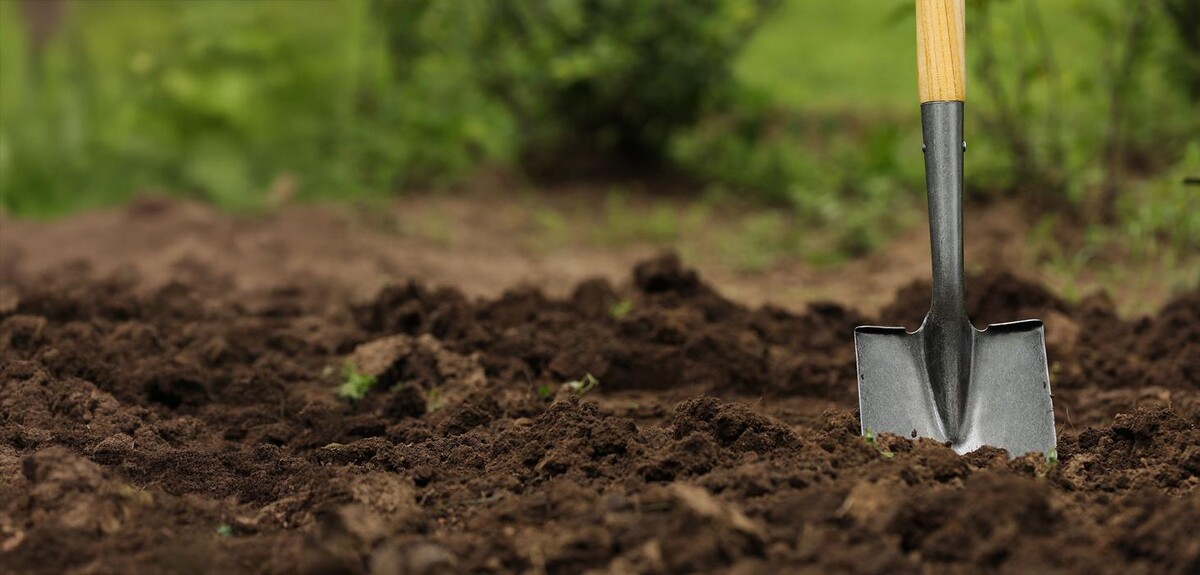Bilder Haus- und Gartenservice Schauberger