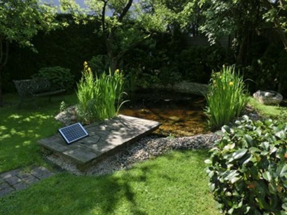 Bilder Reinmüller Garten