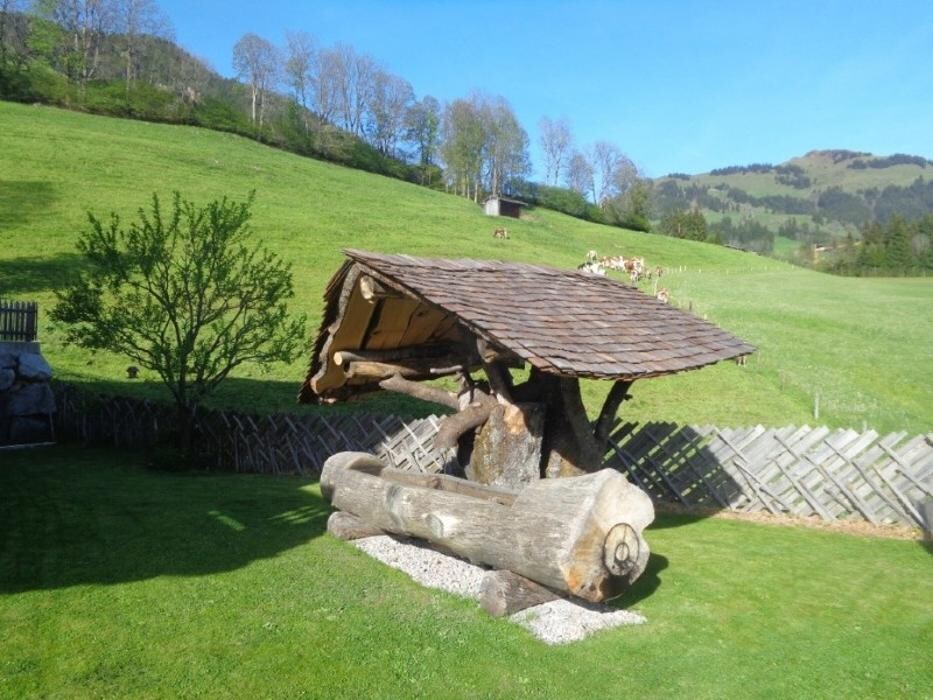 Bilder Peter Berger - Schindeldächer und Landschaftszäune in Kitzbühel