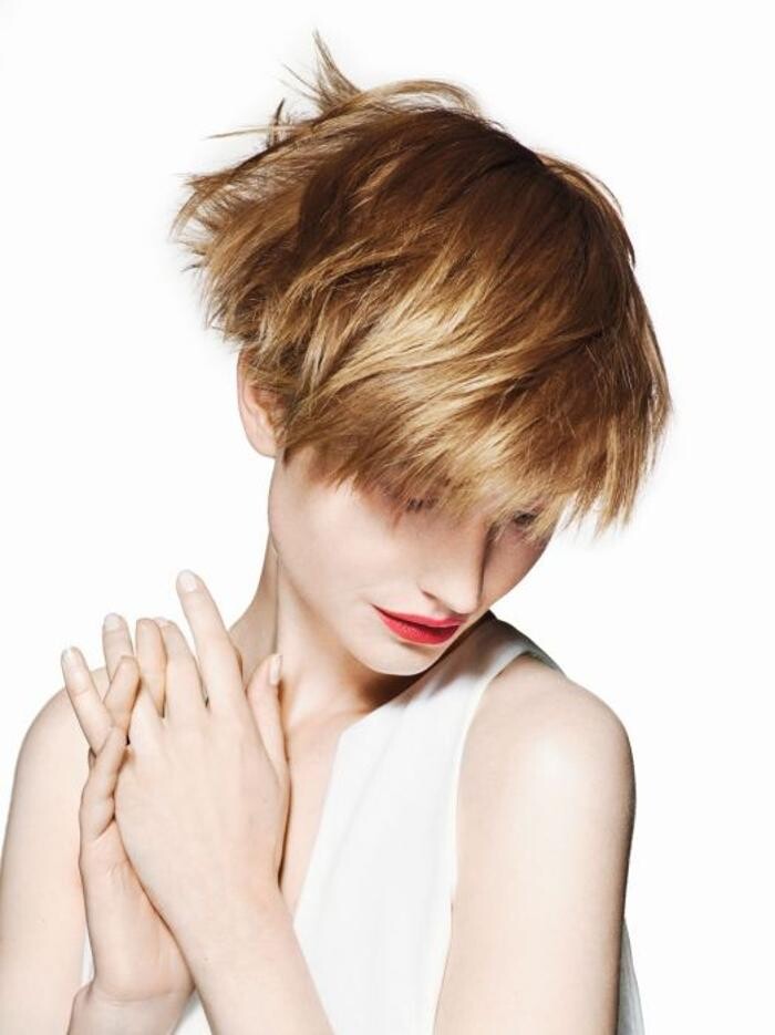 Bilder Styleeffect Sabine Obwaller