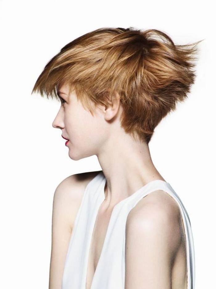 Bilder Styleeffect Sabine Obwaller
