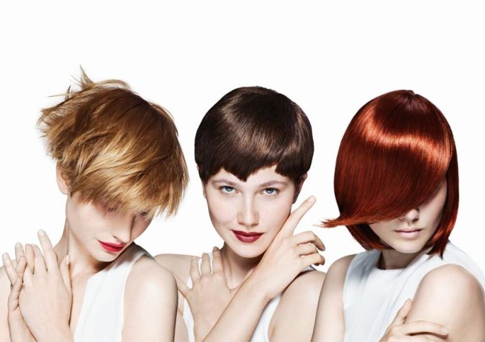 Bilder Styleeffect Sabine Obwaller