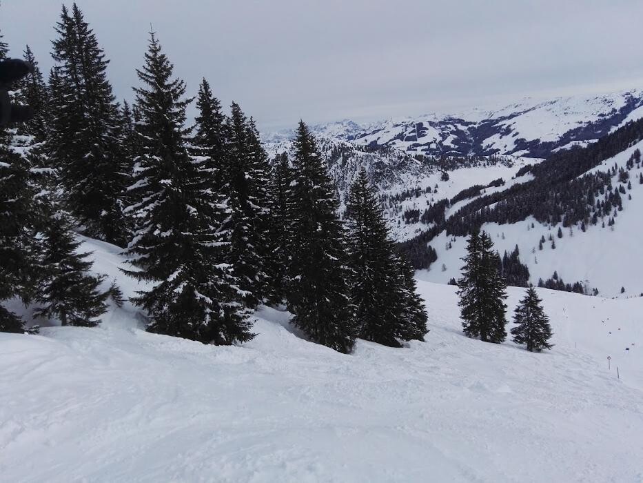Bilder RENThier Sportshop - Bergbahn Westendorf