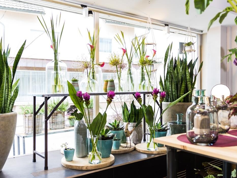 Bilder Blumenwerkstatt Bettina