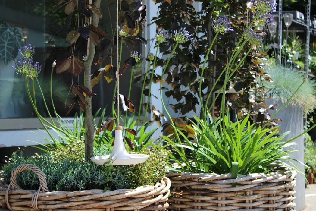 Bilder Blumenwerkstatt Bettina