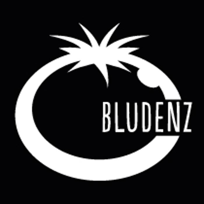 Blue Tomato Shop Bludenz Logo