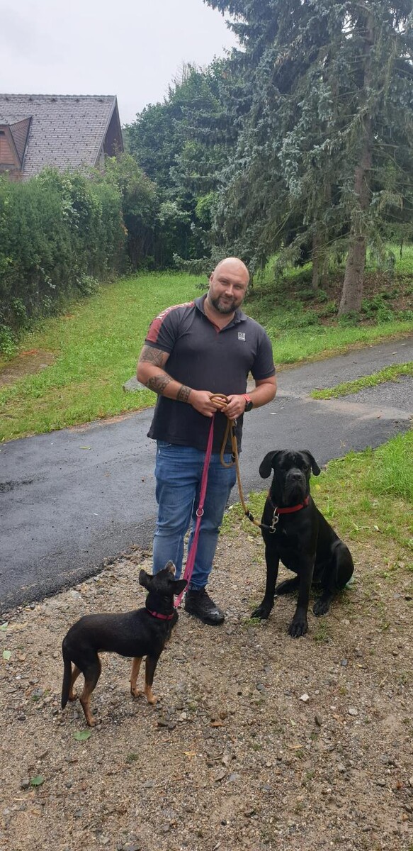 Bilder Happy Together - Mobiles Hundetraining