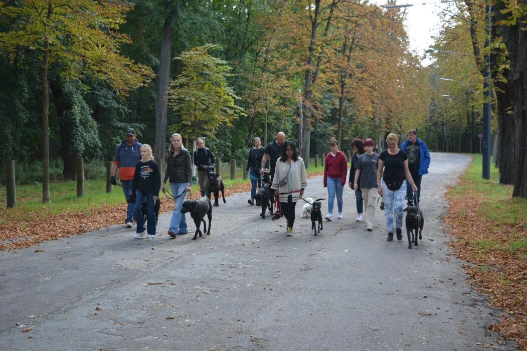 Bilder Happy Together - Mobiles Hundetraining