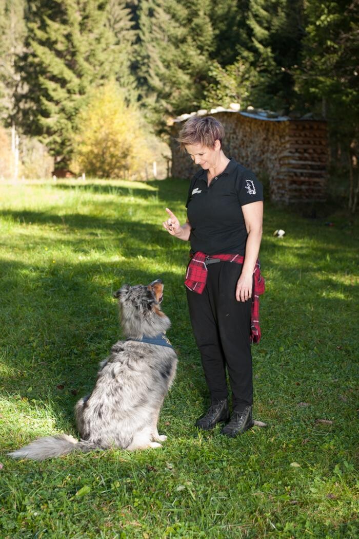 Bilder Hundeschule Kitzalps