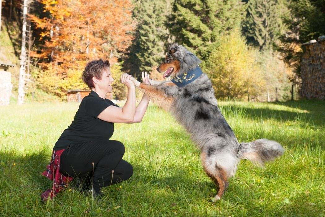 Bilder Hundeschule Kitzalps