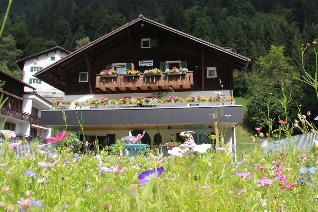 Bilder Haus am Rain