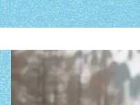 Website Screenshot Blue Tomato Rent Your Ride - Snowboardverleih