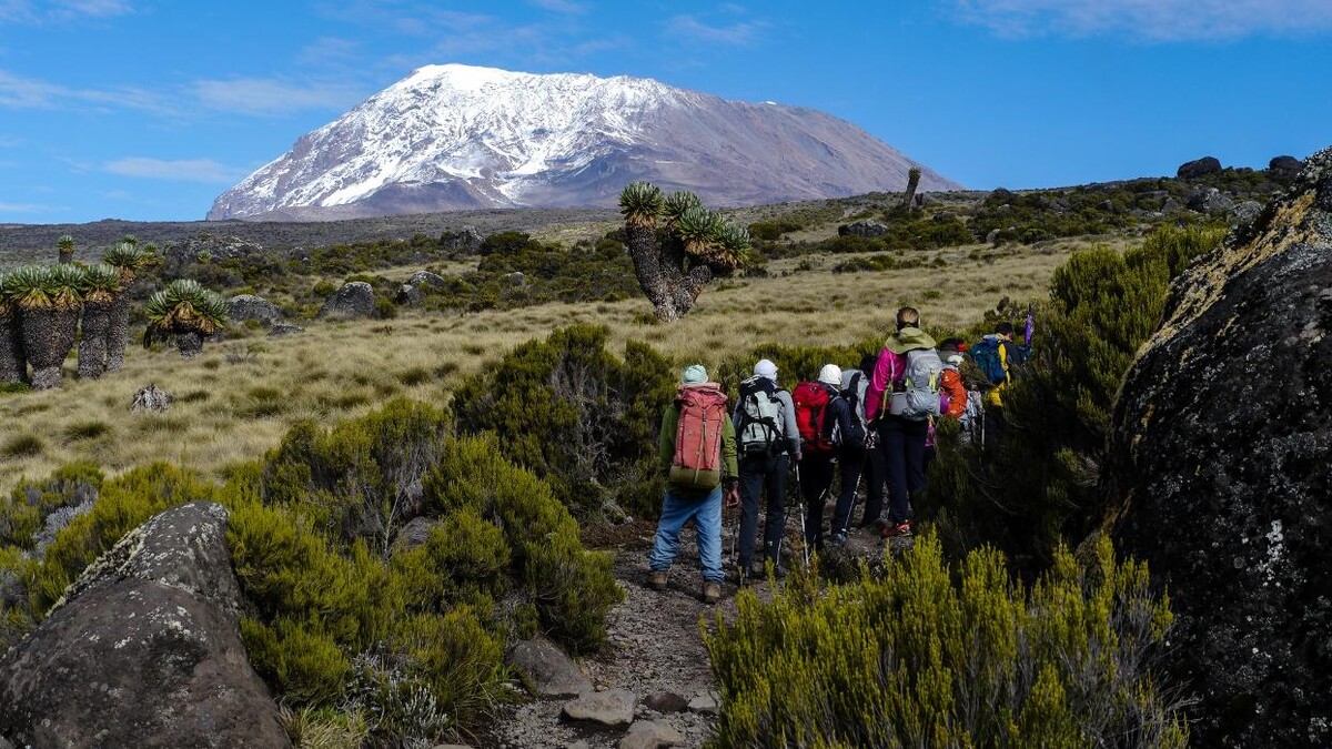 Bilder Kilimanjaro Aktiv GmbH / Rudi Stangl