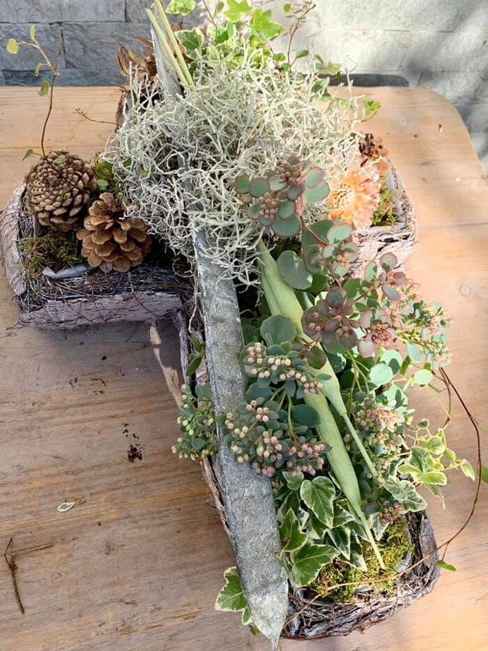 Bilder Blumenhaus Gauper Graz