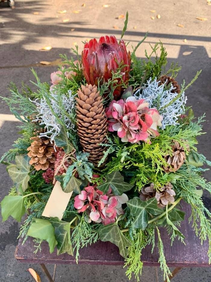 Bilder Blumenhaus Gauper Graz