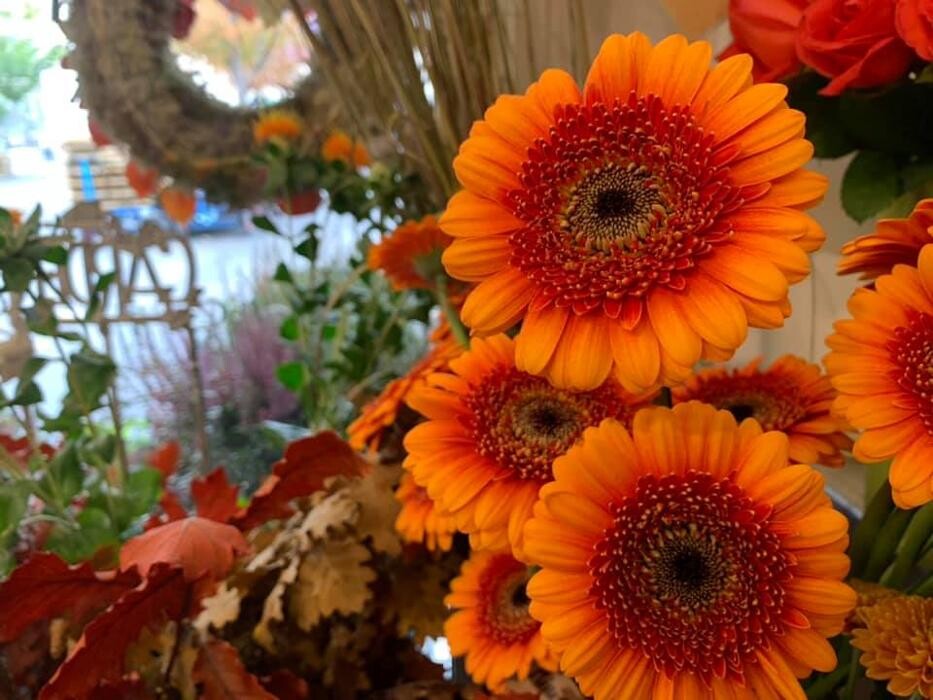 Bilder Blumenhaus Gauper Graz