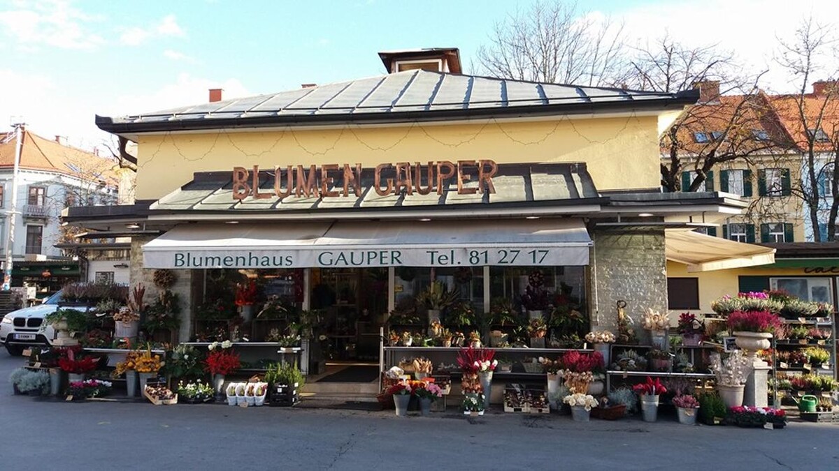 Bilder Blumenhaus Gauper Graz