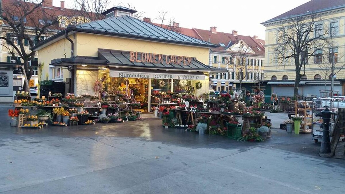 Bilder Blumenhaus Gauper Graz