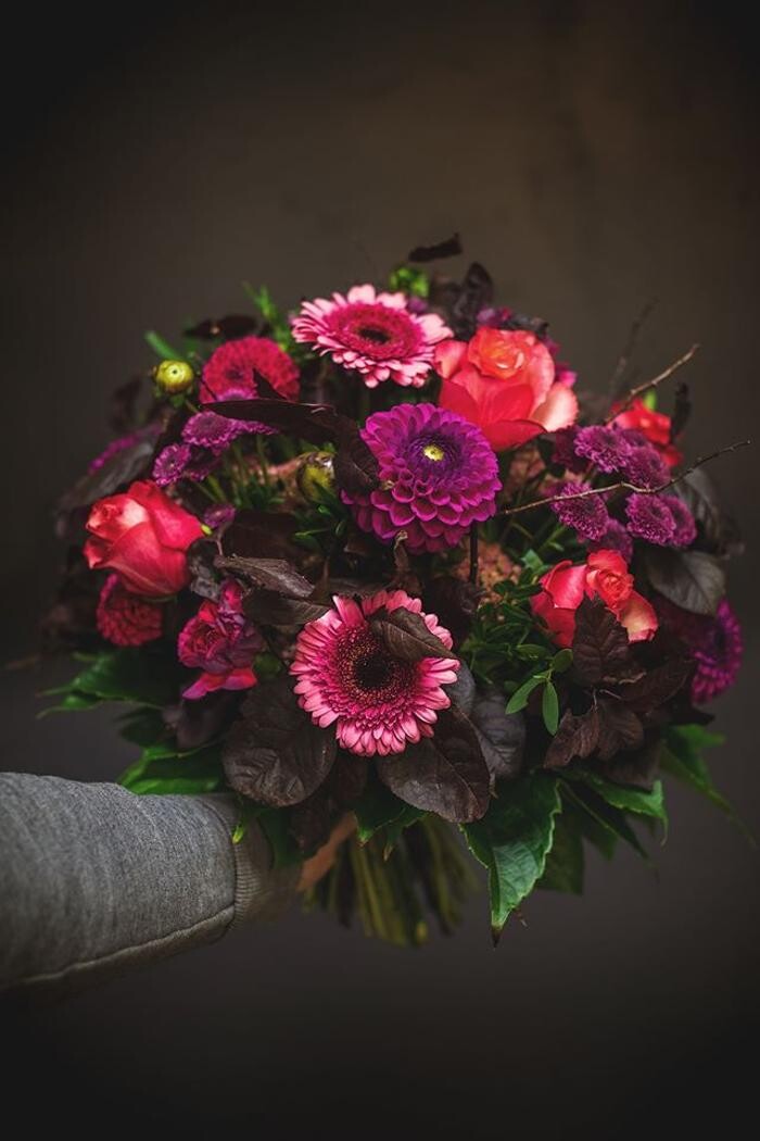 Bilder Blumenhaus Gauper Graz