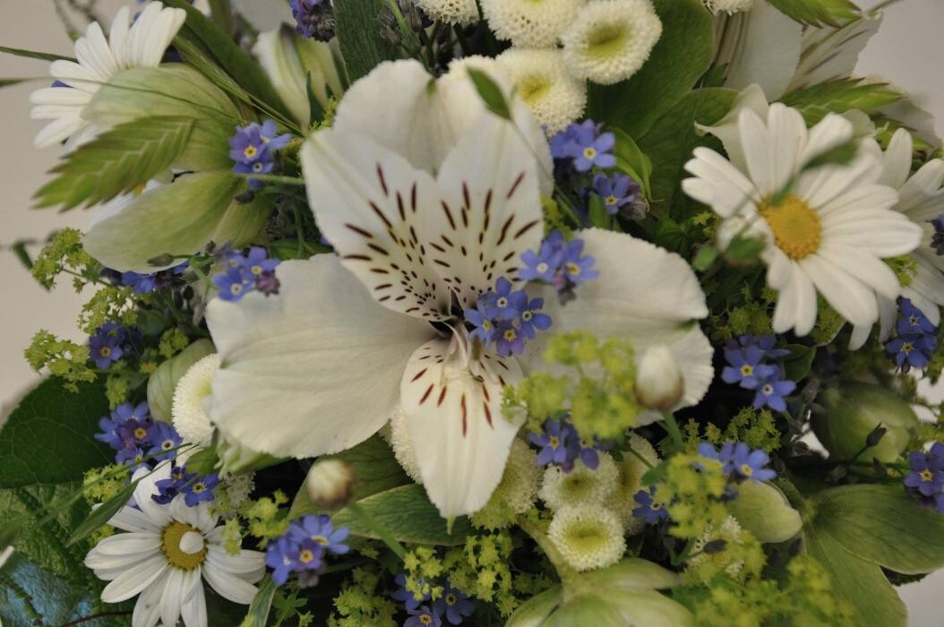 Bilder Blumenhaus Gauper Graz