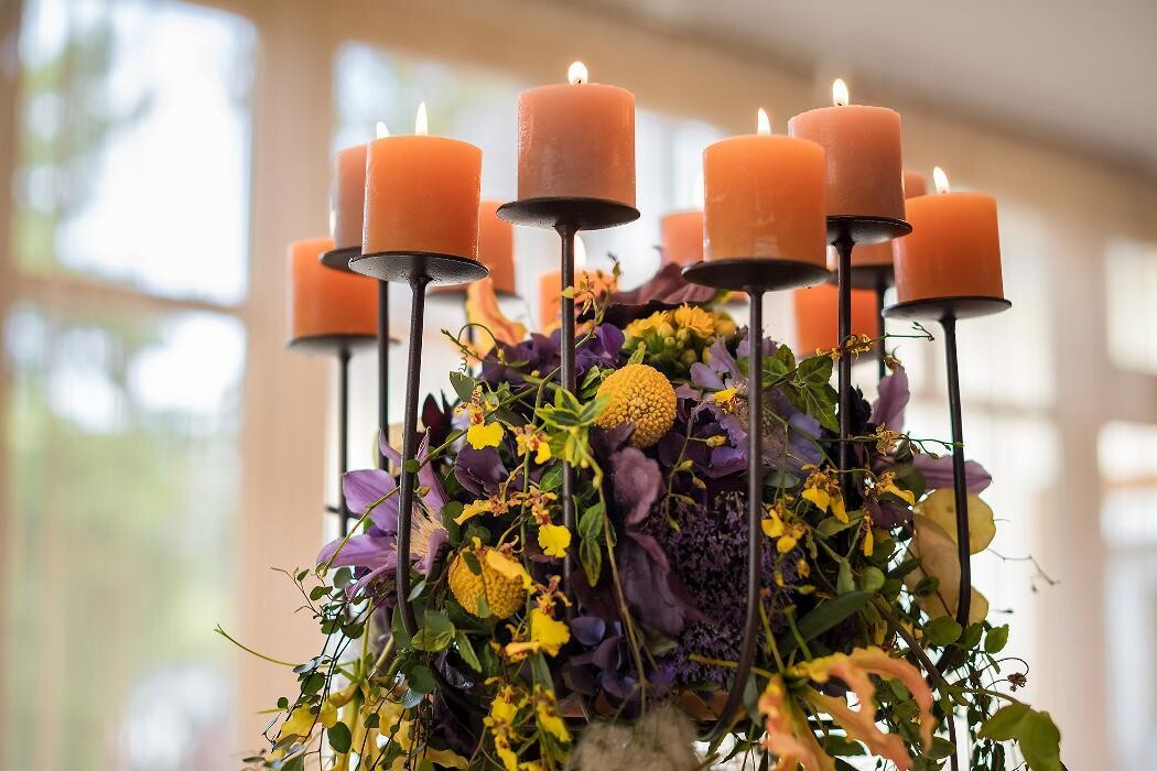 Bilder Blumenhaus Gauper Graz