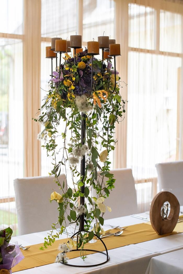 Bilder Blumenhaus Gauper Graz