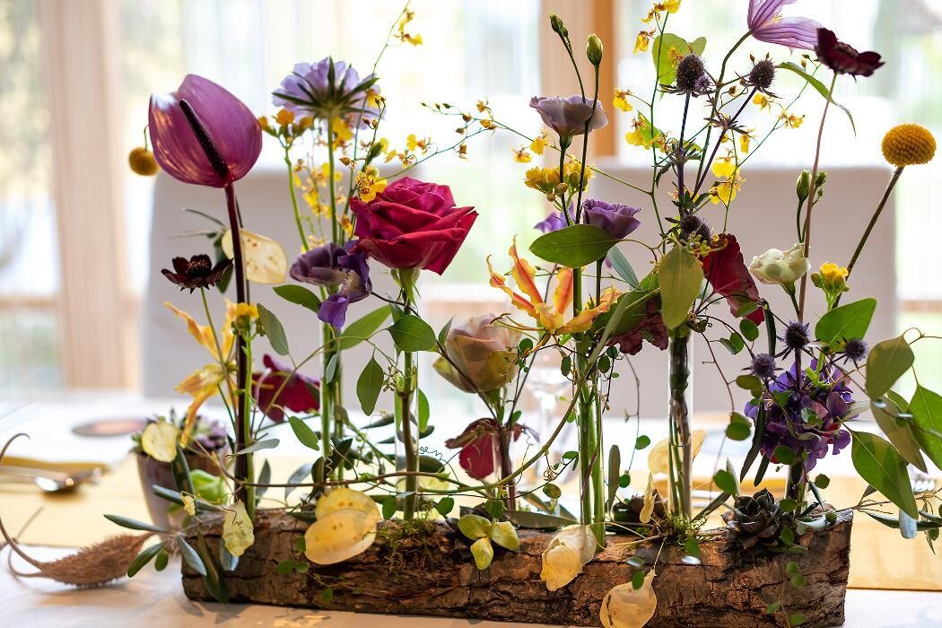 Bilder Blumenhaus Gauper Graz