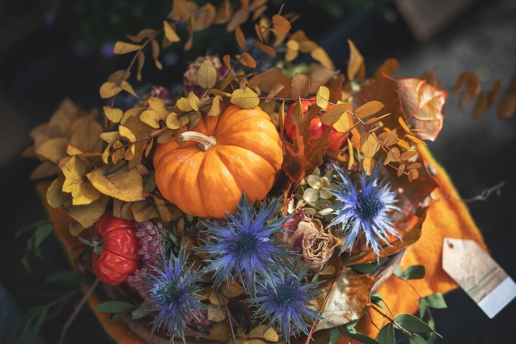 Bilder Blumenhaus Gauper Graz