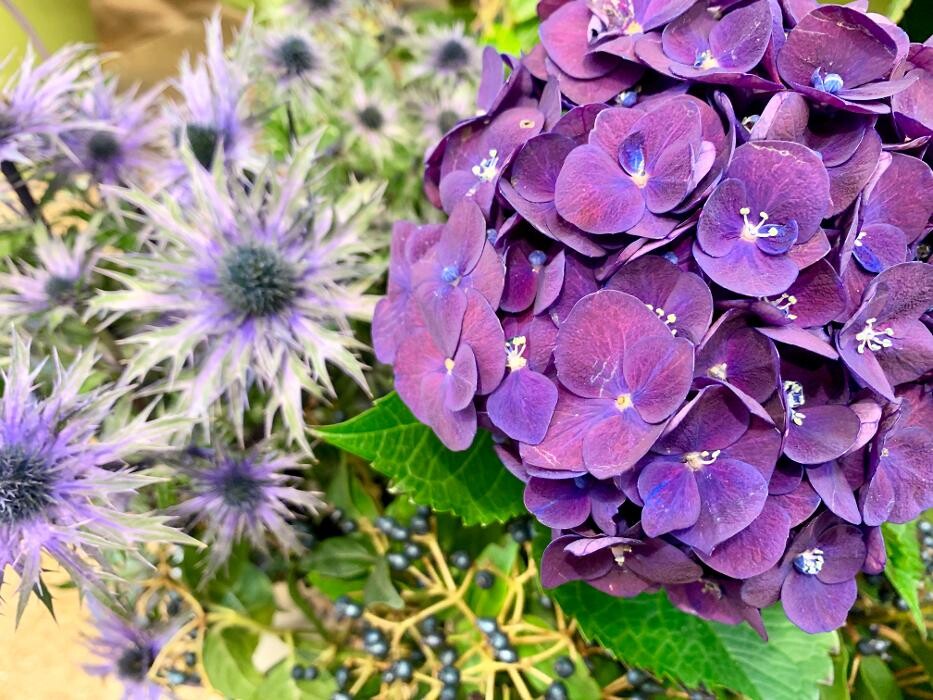 Bilder Blumenhaus Gauper Graz