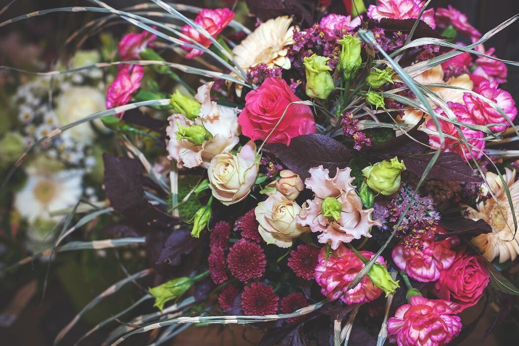 Bilder Blumenhaus Gauper Graz