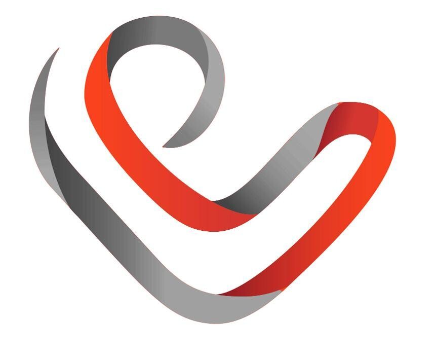 Prof. Michael Lichtenauer Logo
