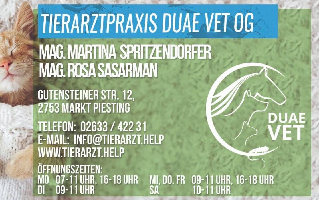 Bilder Tierarztpraxis DuaeVet OG