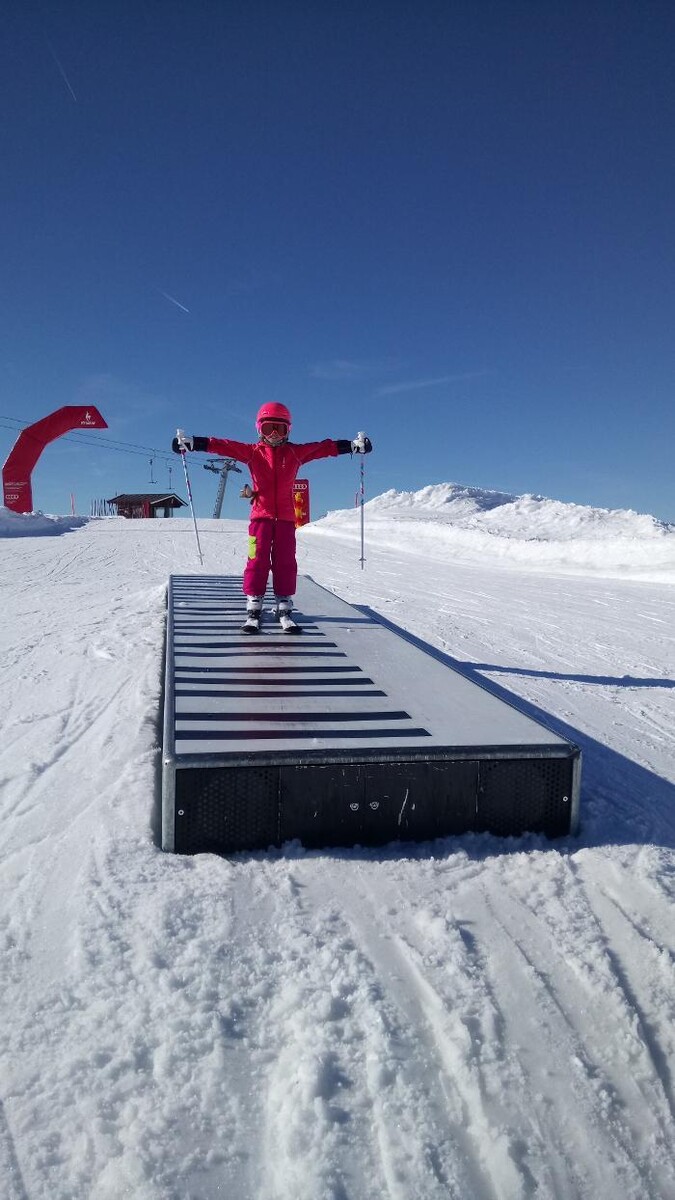 Bilder SkiArt Peter Sulzenbacher