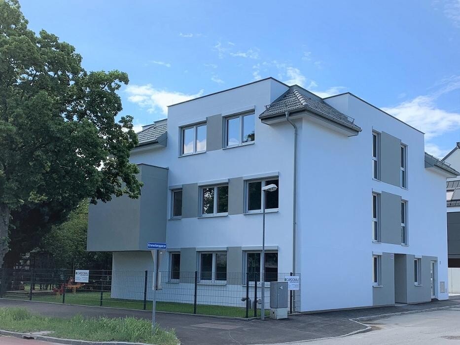 Bilder Cardobau die Baumeister GmbH