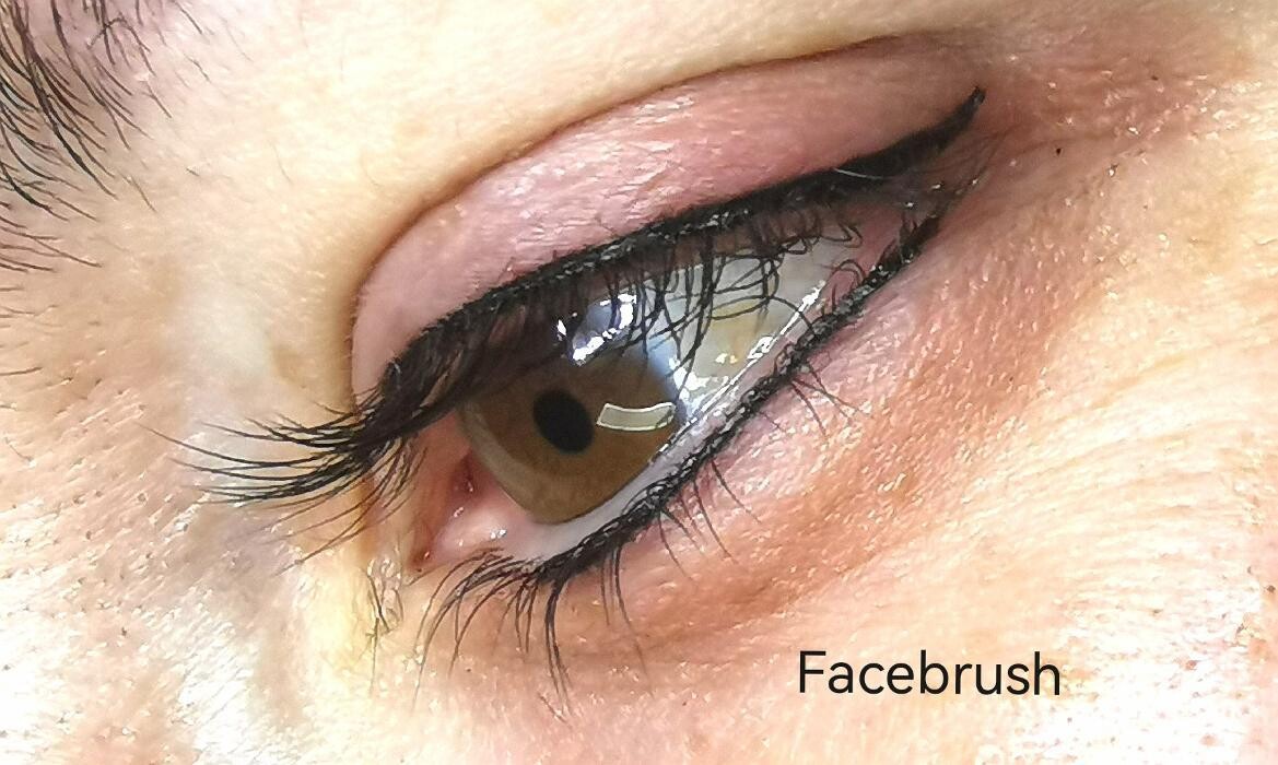 Bilder Facebrush