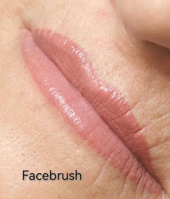 Bilder Facebrush