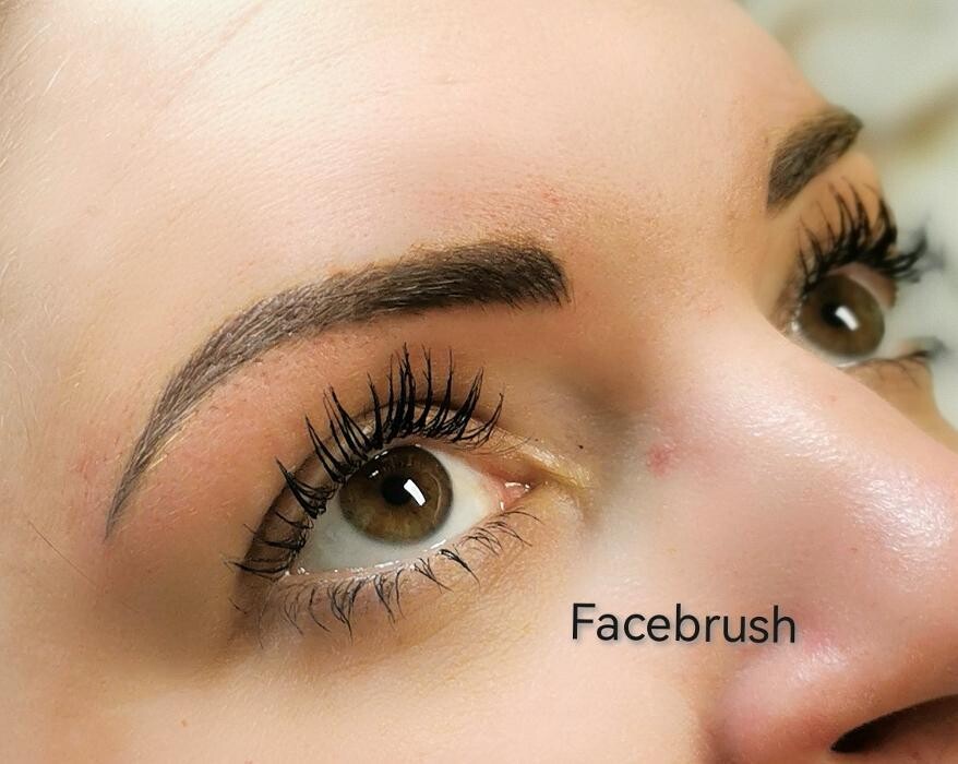 Bilder Facebrush