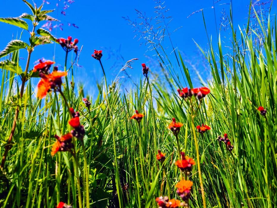 Bilder Psychotherapie Tamara Reiter