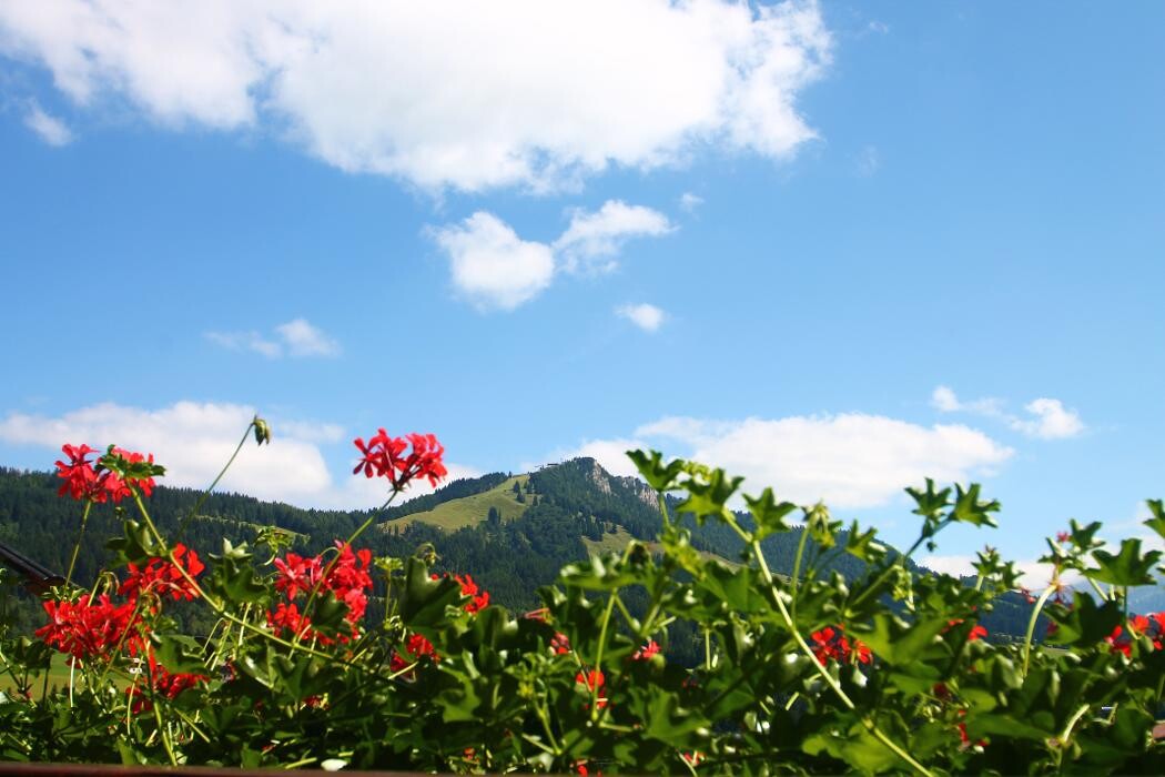 Bilder Ferienwohnungen Haus Schwaiger - Fieberbrunn