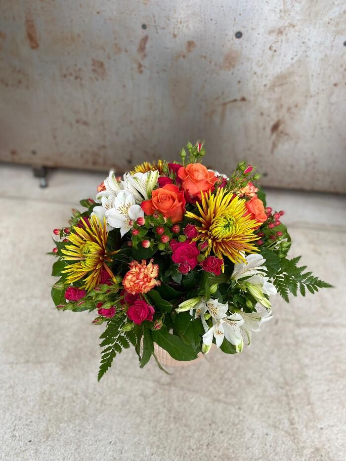 Bilder Blumen Fleischmann GmbH