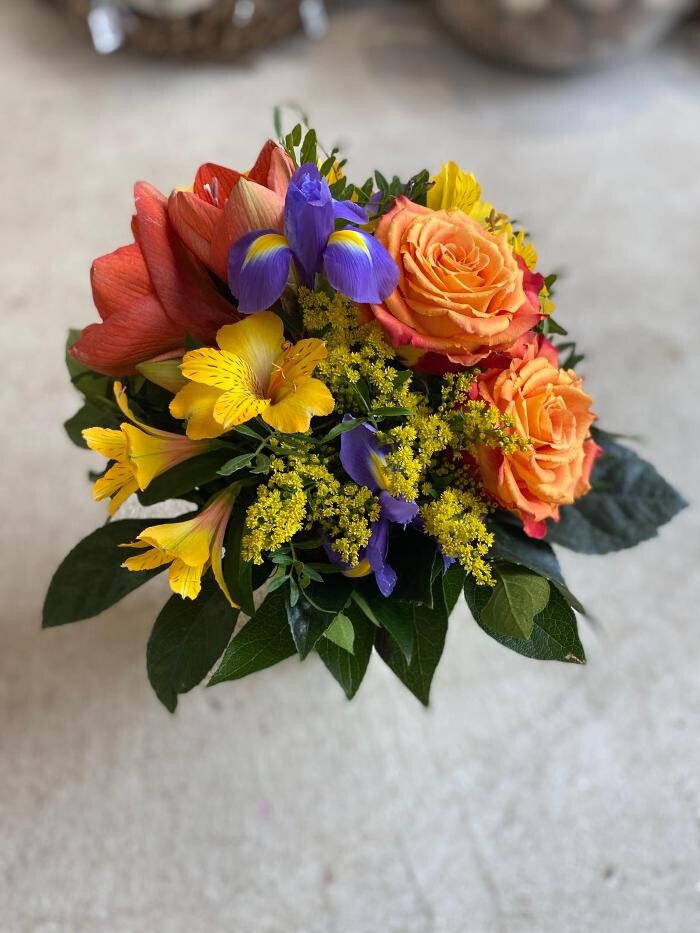 Bilder Blumen Fleischmann GmbH