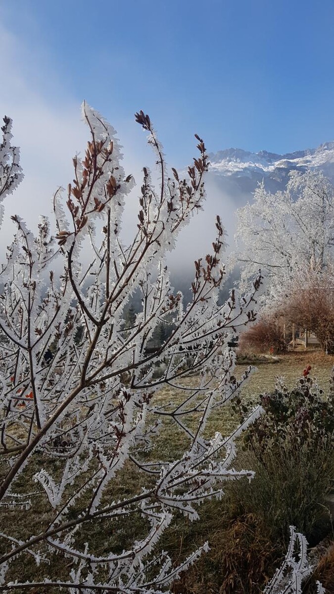 Bilder Yoga Resort AlpenRetreat