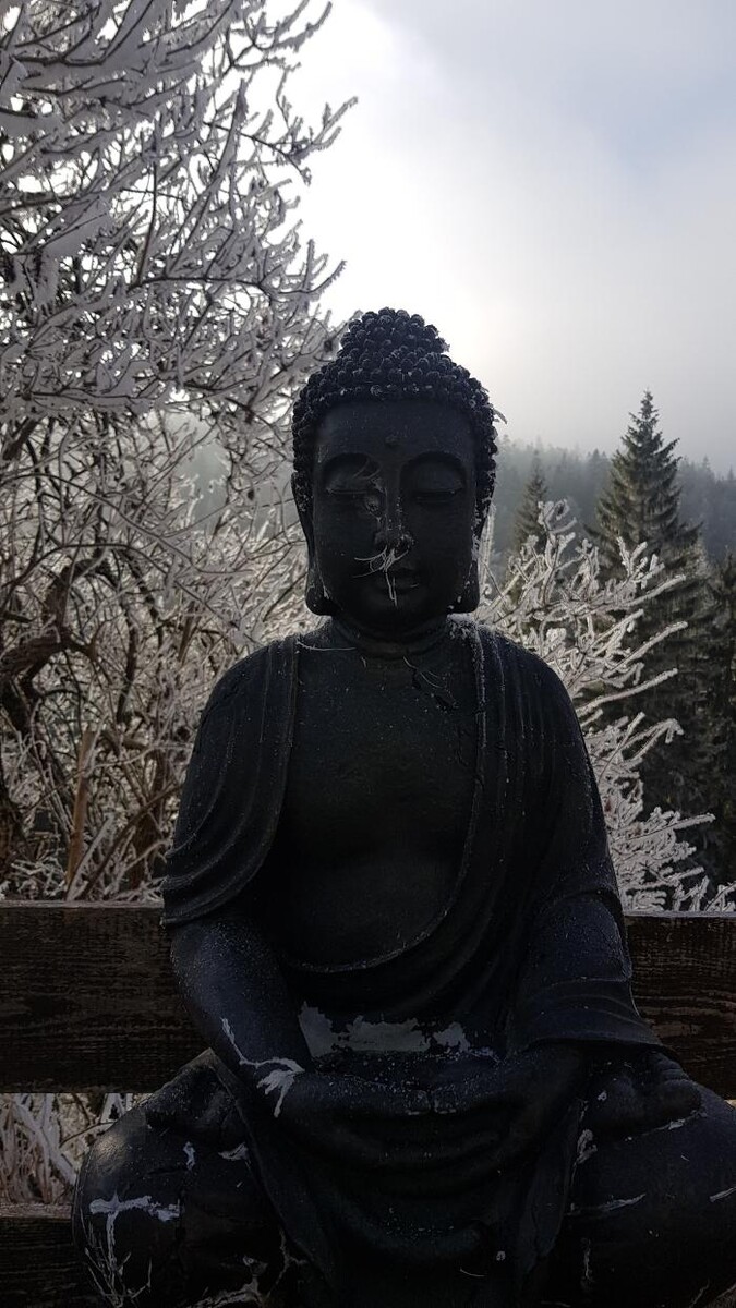 Bilder Yoga Resort AlpenRetreat