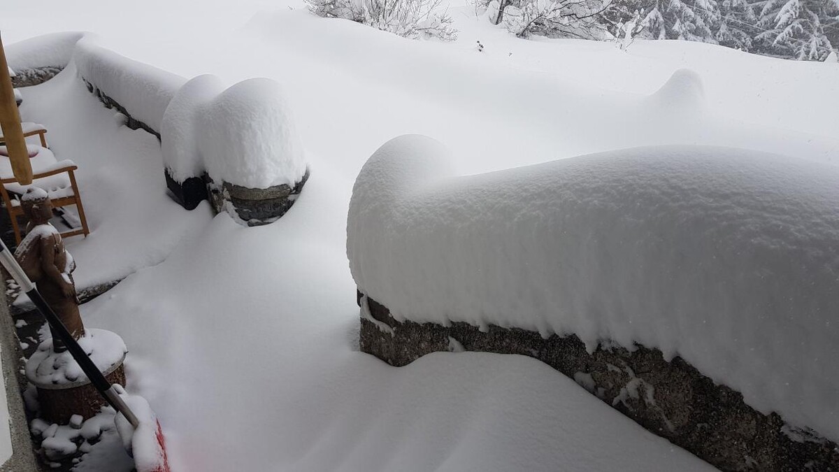 Bilder Yoga Resort AlpenRetreat