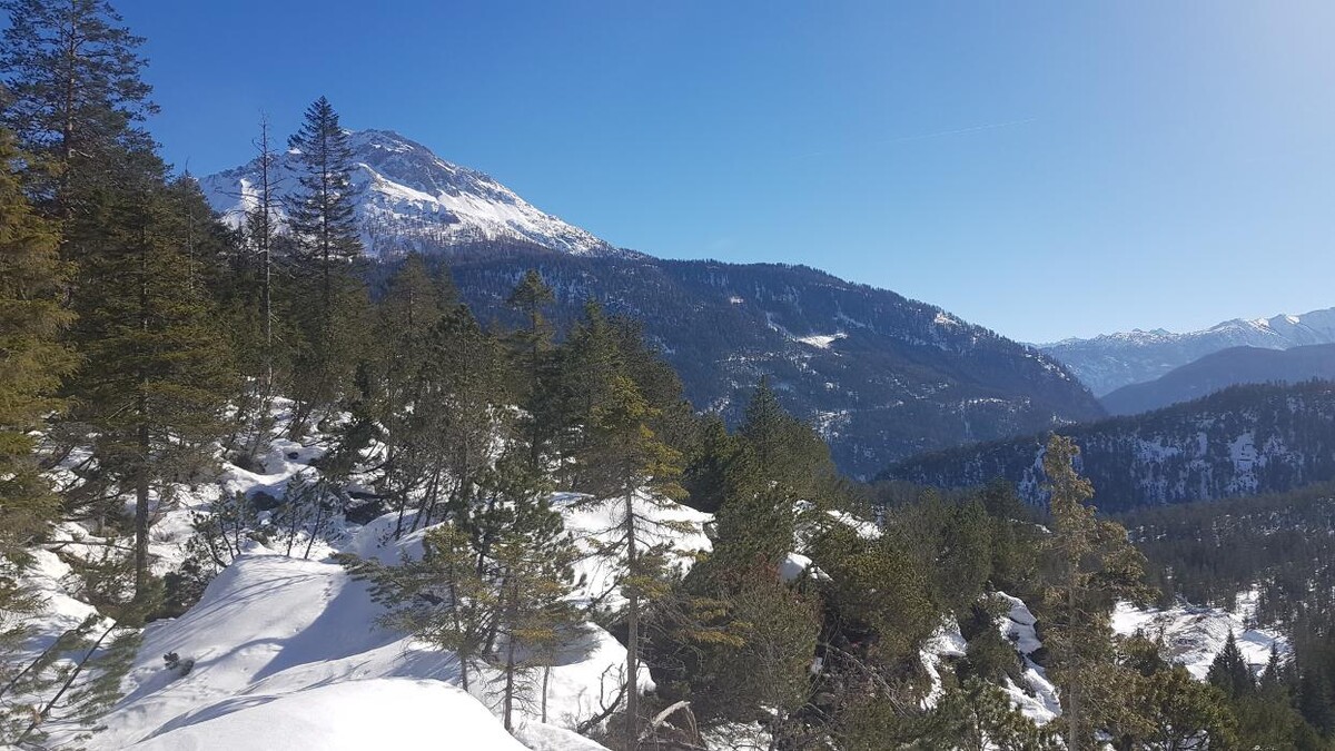 Bilder Yoga Resort AlpenRetreat