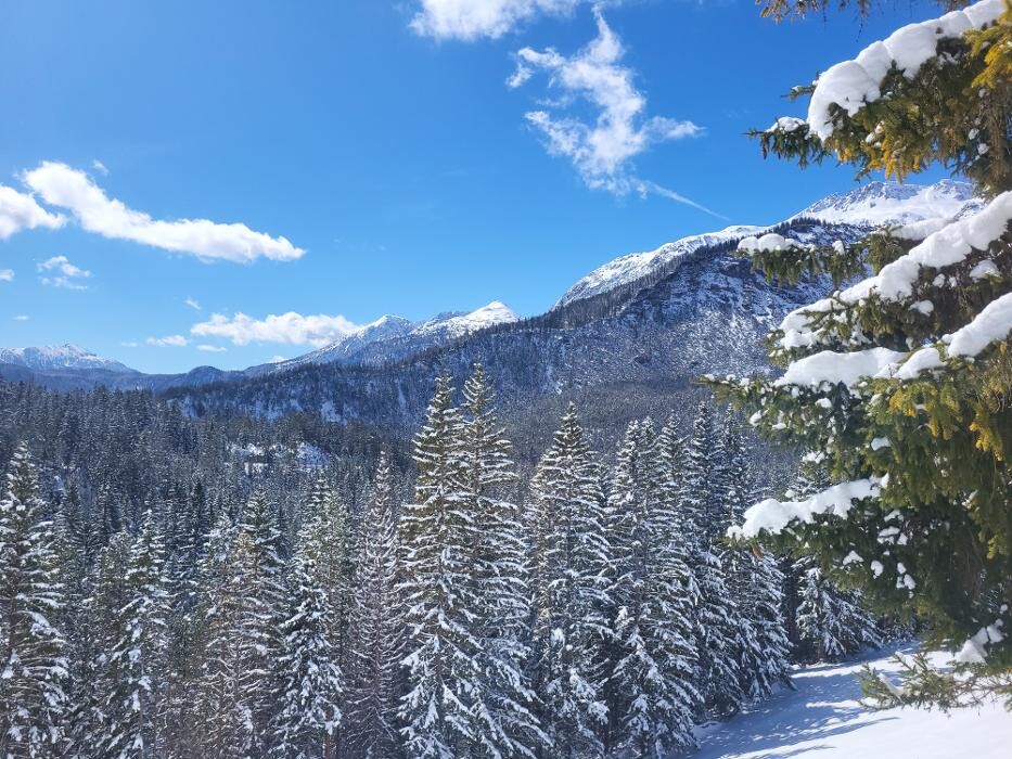 Bilder Yoga Resort AlpenRetreat