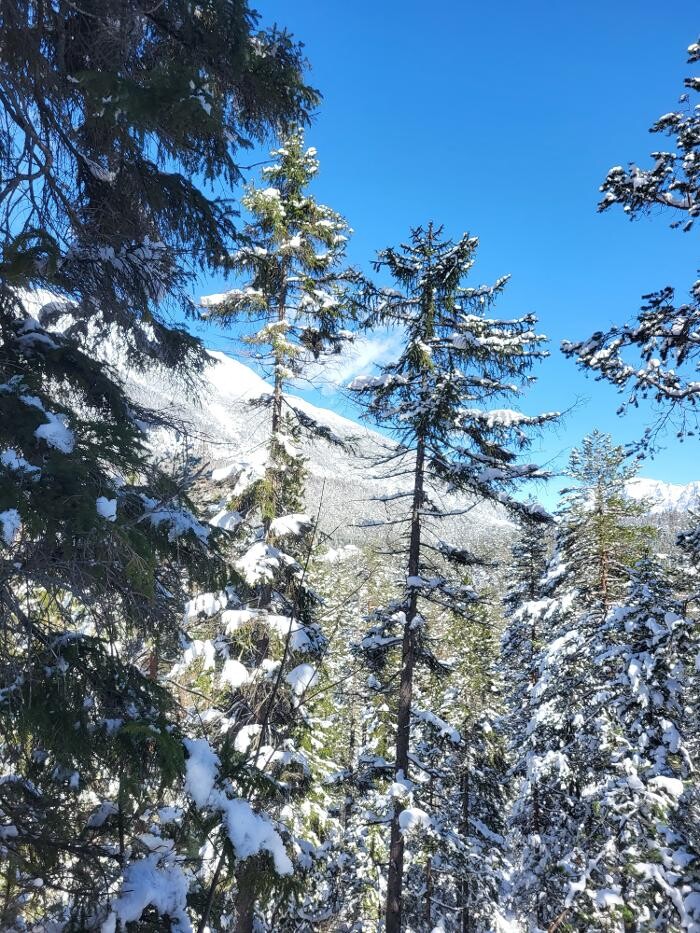 Bilder Yoga Resort AlpenRetreat